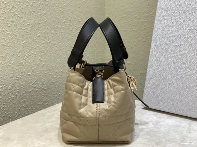Christian Shopping NewStyle Dior Bags 66600 0712